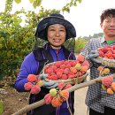 김광연 농장 이미지