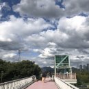 미니스톱 한강양화2점 | 선유도 양화한강공원 가을 피크닉 치맥 (feat. 코로나, 지코바)