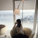 W호텔 Daum카페