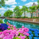 꽃내음하우스 이미지