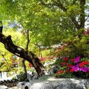 길상사입구 이미지