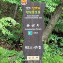 순천-46호 이미지