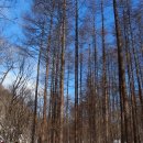 강산회 | 백두대간 강릉·평창 대관령 선자령(仙子嶺)