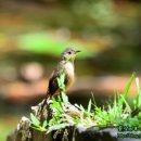 집(The hous 이미지