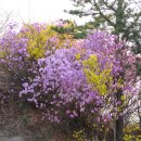 용마산입구 이미지