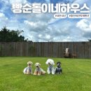 빵순돌이네 하우스 이미지