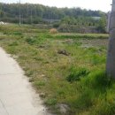 신창면 온천대로 이미지