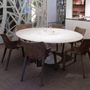 디디모스 이미지