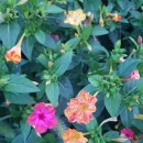 한림정역 이미지