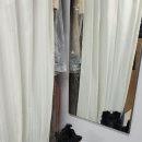 거울보는 강아지 이미지