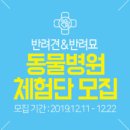 마이펫동물병원 이미지
