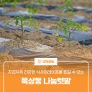 대덕대로 1470~1486번길 이미지
