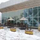 군포시청(시의회) | 산본 식물 카페 굿포 카공하기 좋은 그림책꿈마루카페