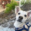 가경카센터 이미지