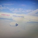 중국 동방항공 작년 추락사고 조사 이미지