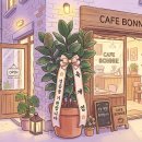 개업상사 | 개업화분 추천 순위, 예산별로 골라보기