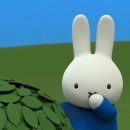 홍대 붙임머리 후기
