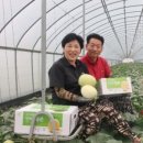 가브리엘농장 이미지