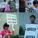 리본나무 이미지