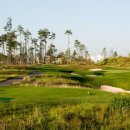 곰's 골프 이미지