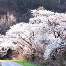 용현목장 이미지