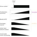 Re: 모든 질병의 시작 'chronic inflammation' - 2019 nature 논문 이미지