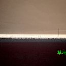 순천만 습지 이미지