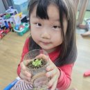 아린.민호 새싹 🌱 이미지
