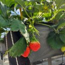 군위경찰서 화장실 이미지