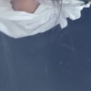 가평모닝필하우스 이미지