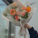 비엘리 이미지