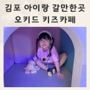 대신초등학교 | 김포 아이랑 갈만한곳 오키드 키즈카페 김포키즈카페