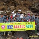 솔바람소리 | 2008, 태안기름유출 자원봉사를 다녀와서