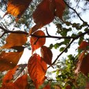 찬우물로 이미지