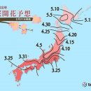 주식회사 벚꽃