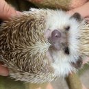 동서울동물병원 이미지