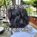 안나미용실 | [온천장 미용실 추천] 살롱에이 안나 원장님 비건 염색 + 클리닉 후기 (브라운 컬러)