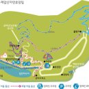 제암산자연휴양림 더늠길 이미지