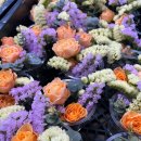 전주풍남유치원 이미지