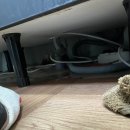 송평로-1 네이버블로그