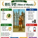 마이너짐 티스토리