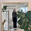 트립티 - 남동구 논현로 81 | 대방역 카공하기 좋은 카페 트립티 서울가족플라자점 넓고 조용한 공정무역카페 내돈내산