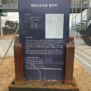 대관령전망대 이미지