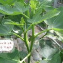 새순농장 이미지