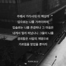 이사야주