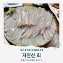 장기초등학교 | 대구 장기동 먹자골목 횟집 맛집 '자연산 회', 귀한 이시가리까지 완벽한 술집