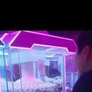 뮤겐 노래타운 이미지