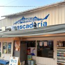 청량리29 | [서울/청량리] 경동시장 골목 안 작은 멕시코, 피쉬타코 맛집 페스카데리아 후기