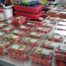 북초교병설유치원 이미지