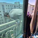 괴정자유1차아파트 이미지